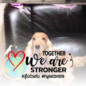 Meet your Posher, Keung